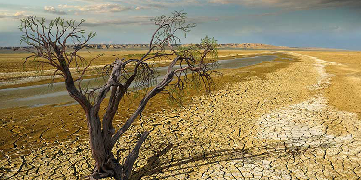 The G7 Working Group on Climate Change and Fragility starts today in Rome